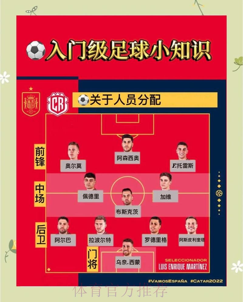 世界杯预测全景解析与详细指南